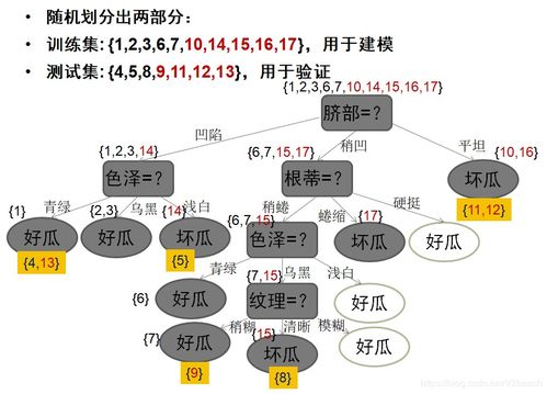 人工智能基礎知識與軟件開發入門指南